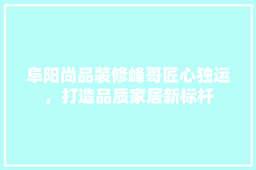 阜阳尚品装修峰哥匠心独运，打造品质家居新标杆