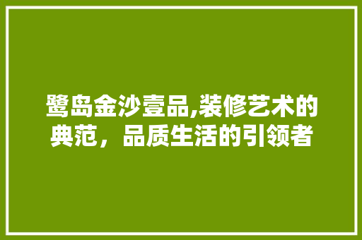 鹭岛金沙壹品,装修艺术的典范，品质生活的引领者  第1张