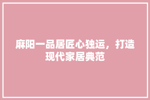 麻阳一品居匠心独运，打造现代家居典范  第1张