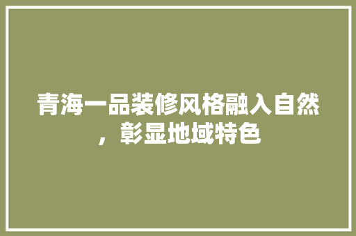 青海一品装修风格融入自然，彰显地域特色