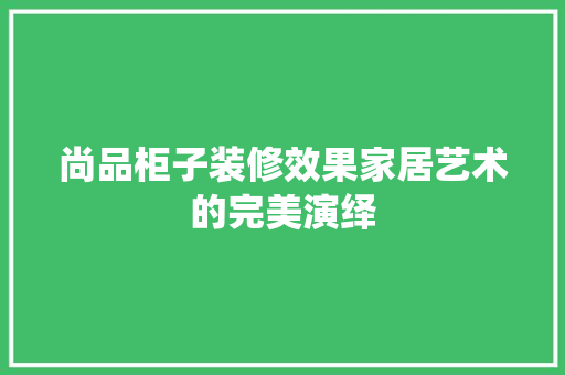 尚品柜子装修效果家居艺术的完美演绎