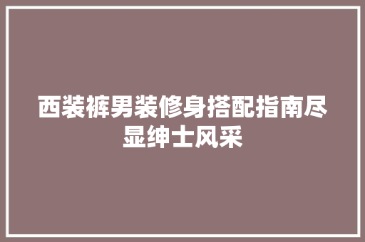 西装裤男装修身搭配指南尽显绅士风采  第1张