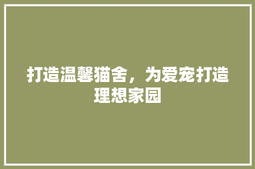 打造温馨猫舍，为爱宠打造理想家园  第1张