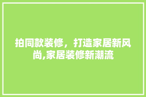 拍同款装修，打造家居新风尚,家居装修新潮流