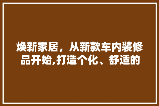 焕新家居，从新款车内装修品开始,打造个化、舒适的驾驶空间  第1张