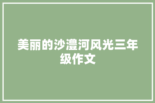 现代装修品摆件品味生活，点缀空间的艺术