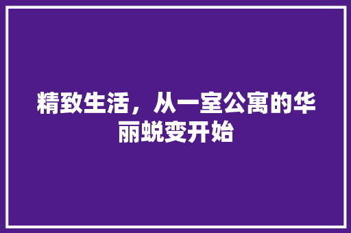 精致生活，从一室公寓的华丽蜕变开始