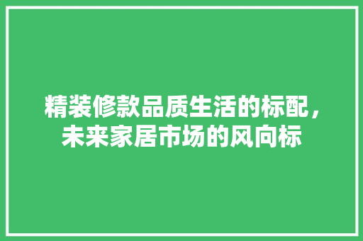 精装修款品质生活的标配，未来家居市场的风向标